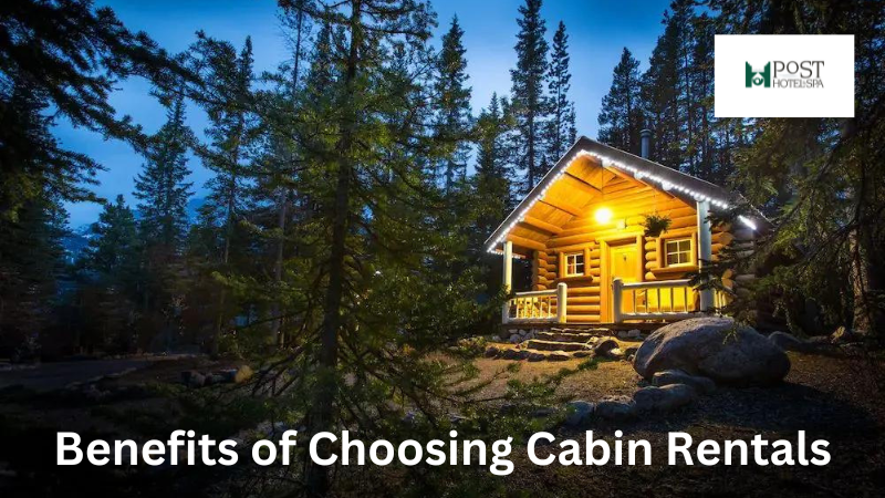 Benefits of Choosing Cabin Rentals