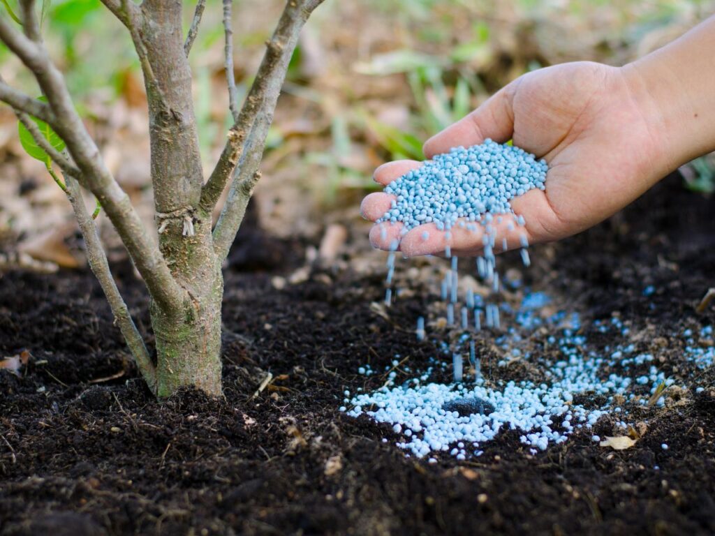 tree service calgary