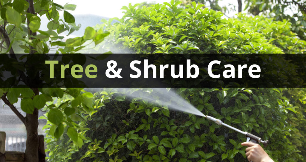 Tree & Shrub Care
