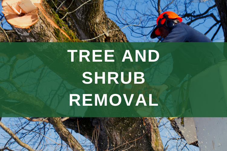 Tree and Shrub Removal
